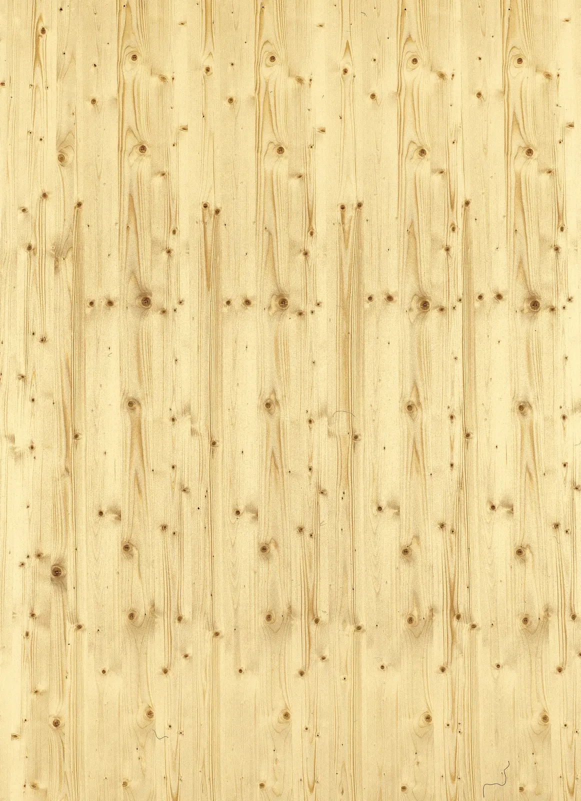 Holzfurnier FAC