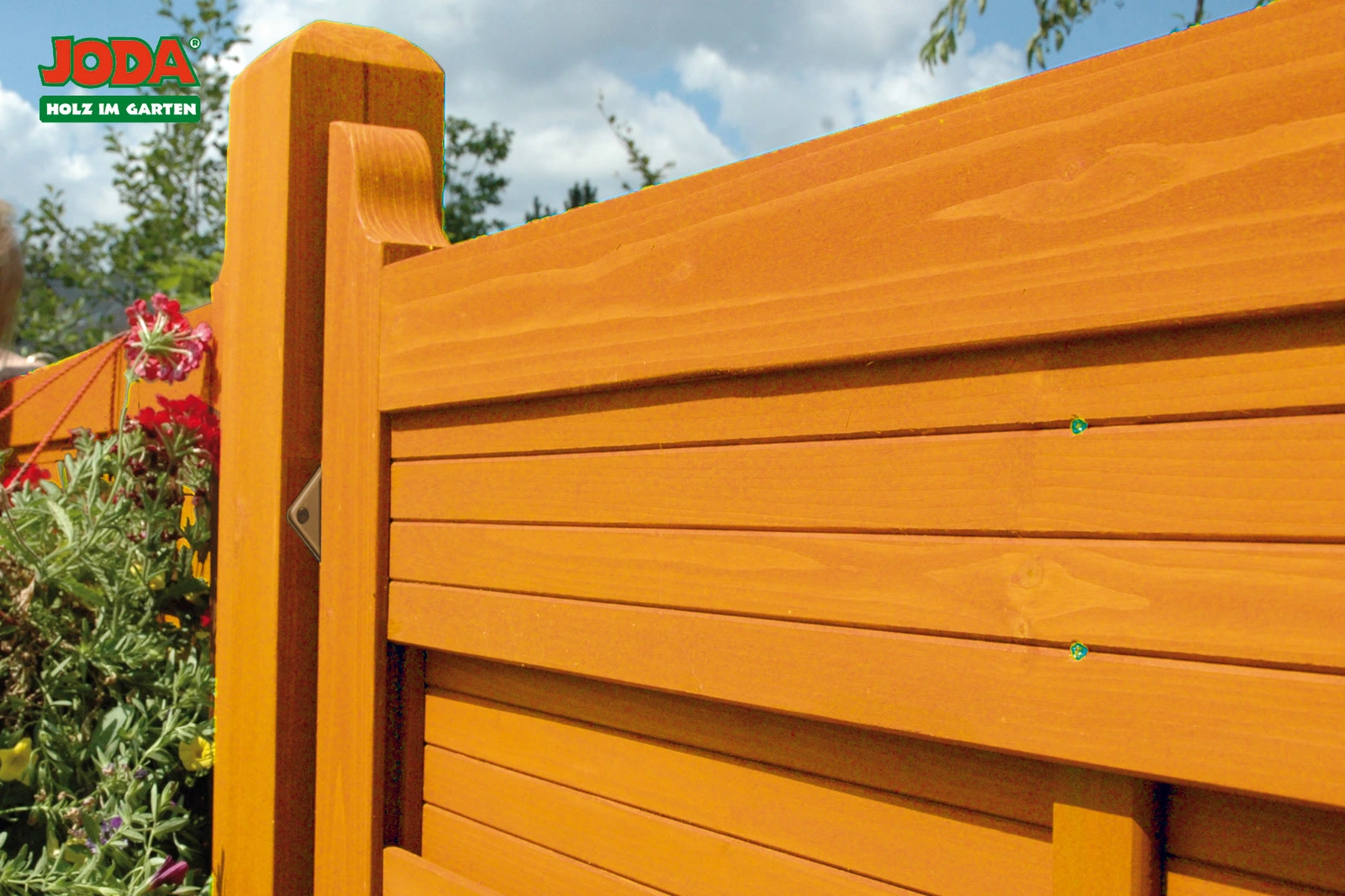 Gibraltar-pinie-orange Detail JODA